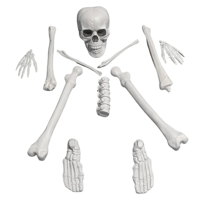 Faux Bag of Bones, 12 Pieces, Halloween by Way To Celebrate