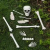 Faux Bag of Bones, 12 Pieces, Halloween by Way To Celebrate