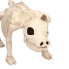 Faux Pig Skeleton Decoration, 6.5", Halloween by Way To Celebrate