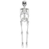 Faux Skeleton Decoration, White, 35", Halloween by Way To Celebrate