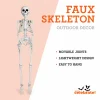Faux Skeleton Decoration, White, 35", Halloween by Way To Celebrate