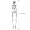 Faux Skeleton Decoration, White, 35", Halloween by Way To Celebrate