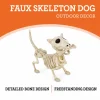 Faux Skeleton Dog Decoration, 9", Halloween by Way To Celebrate