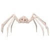 Faux Skeleton Spider Decoration, 5.3", Halloween by Way To Celebrate