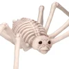 Faux Skeleton Spider Decoration, 5.3", Halloween by Way To Celebrate