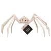 Faux Skeleton Spider Decoration, 5.3", Halloween by Way To Celebrate