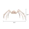 Faux Skeleton Spider Decoration, 5.3", Halloween by Way To Celebrate