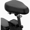 Folding Electric Bike 250W, 14 Inch, LCD Display, Removable Battery, Dual Disc Brake, Black