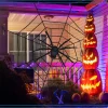 Giant Spider Web with Spider Decoration, Black, 8', Halloween by Way To Celebrate