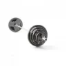 Gold's Gym 300 lb Olympic Weight Set With Barbell, Plates, Collars And Storage Rack - WGGOP300