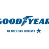 Goodyear Reliant All-Season Tire 195/65R15 91H