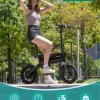 GOTRAX Folding Electric Bike For Adults And Teens, 14 inch, 250W, 15.5 mph, 15 Miles, Black - S2