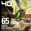 Greenworks 40V 12 in Cordless Chainsaw With 2.0 Ah Battery And Charger - 20262