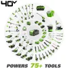 Greenworks 40V 12 in Cordless Chainsaw With 2.0 Ah Battery And Charger - 20262