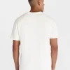 Halloween Boxy Fit Chest X-Ray Graphic Tee Shirt, Men's Sizes XS-4XLT