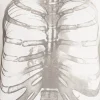 Halloween Boxy Fit Chest X-Ray Graphic Tee Shirt, Men's Sizes XS-4XLT