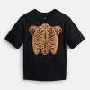 Halloween Boys Graphic Tee with Short Sleeves from Way to Celebrate, Sizes 4-18 & Husky