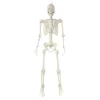 Hanging Posable Skeleton Decoration, White, 5', Halloween by Way To Celebrate