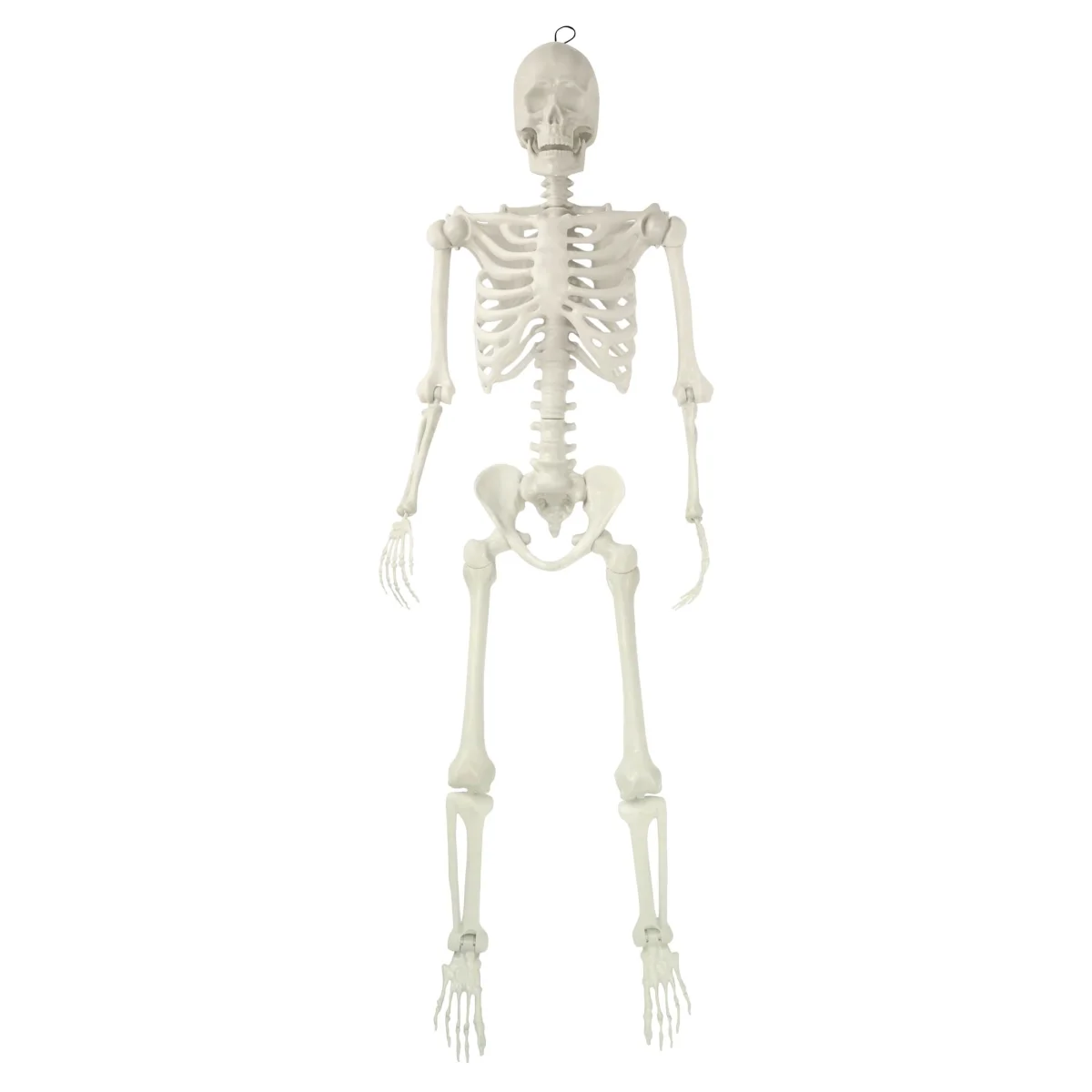 Hanging Posable Skeleton Decoration, White, 5', Halloween by Way To Celebrate