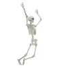 Hanging Posable Skeleton Decoration, White, 5', Halloween by Way To Celebrate