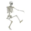 Hanging Posable Skeleton Decoration, White, 5', Halloween by Way To Celebrate
