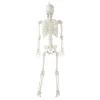 Hanging Posable Skeleton Decoration, White, 5', Halloween by Way To Celebrate