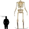 Home Accents 12 ft Giant-Sized Skeleton With LifeEyes - NO250058