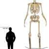 Home Accents 12 ft Giant-Sized Skeleton With LifeEyes - NO250058