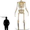Home Accents 12 ft Giant-Sized Skeleton With LifeEyes - NO250058