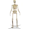 Home Accents Giant Skeleton With LifeEyes, 12 ft, 95 lbs - Halloween Decoration