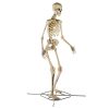 Home Accents Holiday 12 ft Giant-Sized Skeleton With LifeEyes LCD Eyes