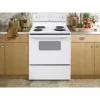 Hotpoint 30 in Free-Standing Electric Range - RBS330DRWW