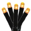Indoor/Outdoor 100-Count Battery-Operated LED 8-Function Micro String Lights, 33', Halloween by Way To Celebrate