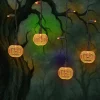 Indoor/Outdoor 30-Count LED Pumpkin Icicle Lights, Orange, 6', Halloween by Way To Celebrate