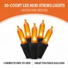 Indoor/Outdoor 50-Count LED Mini String Lights, 9.5', Halloween by Way To Celebrate