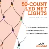 Indoor/Outdoor 50-Count LED Net Lights, 4' x 4', Halloween by Way To Celebrate