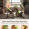 JEEKEE Recumbent Exercise Bike - 8-Level Magnetic Resistance, Black