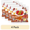 Jelly Belly Fall Fireside Jelly Bean Collection - 3.5 oz Bag - Gourmet Autumn Flavor Mix – Seasonal Candy Assortment