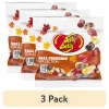 Jelly Belly Fall Fireside Jelly Bean Collection - 3.5 oz Bag - Gourmet Autumn Flavor Mix – Seasonal Candy Assortment