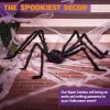 Joyfy 5 ft Scary Giant Spider Halloween Decorations Outdoor, Poseable Spider Lifelike Hairy Prop for Yard, Haunted House