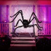 Joyfy 5 ft Scary Giant Spider Halloween Decorations Outdoor, Poseable Spider Lifelike Hairy Prop for Yard, Haunted House