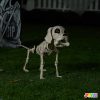 Joyfy 9.8 Inch Halloween Skeleton Dog Skeleton Halloween Decor, Pose-N-Stay Plastic Skeleton Bones with Posable Joints f