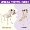 Joyfy 9.8 Inch Halloween Skeleton Dog Skeleton Halloween Decor, Pose-N-Stay Plastic Skeleton Bones with Posable Joints f