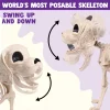 Joyfy 9.8 Inch Halloween Skeleton Dog Skeleton Halloween Decor, Pose-N-Stay Plastic Skeleton Bones with Posable Joints f