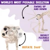Joyfy 9.8 Inch Halloween Skeleton Dog Skeleton Halloween Decor, Pose-N-Stay Plastic Skeleton Bones with Posable Joints f
