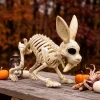 Joyfy Rabbit Skeleton