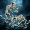 Joyfy Rabbit Skeleton