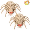Joyfy Rabbit Skeleton