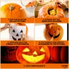 KatchOn, Professional Pumpkin Carving Kits - Pack of 31 | Halloween Pumpkin Carving Tools, Heavy Duty Stainless Steel