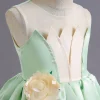KAWELL Princess Tiana Costume for Girls Birthday Halloween Dress Up Outfits with Accessories